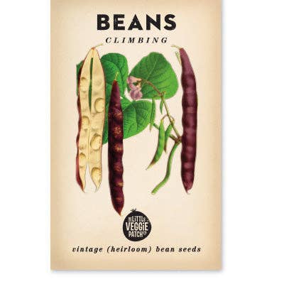 Beans Climbing &