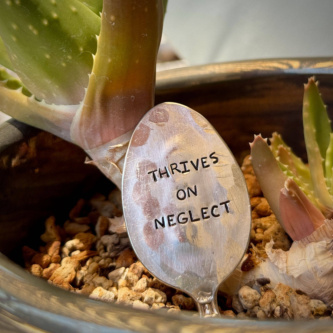 Garden Marker: Thrives on neglect