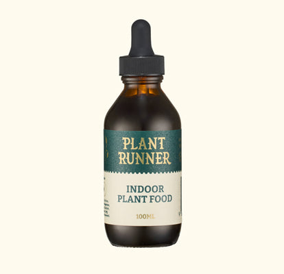 Plant Runner Indoor Plant Food