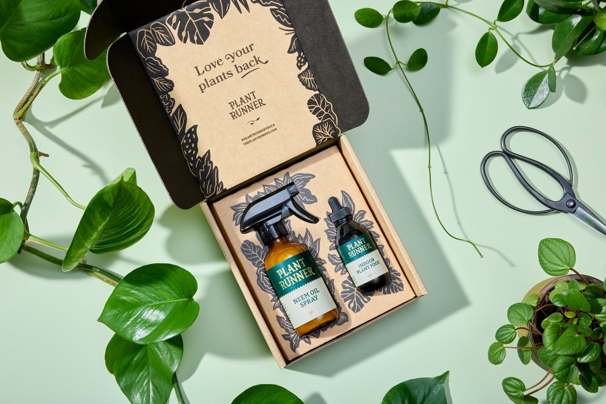 Plant Care Essentials Kit