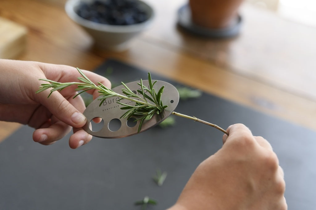 Gift Boxed - Asteraceae Herb Set