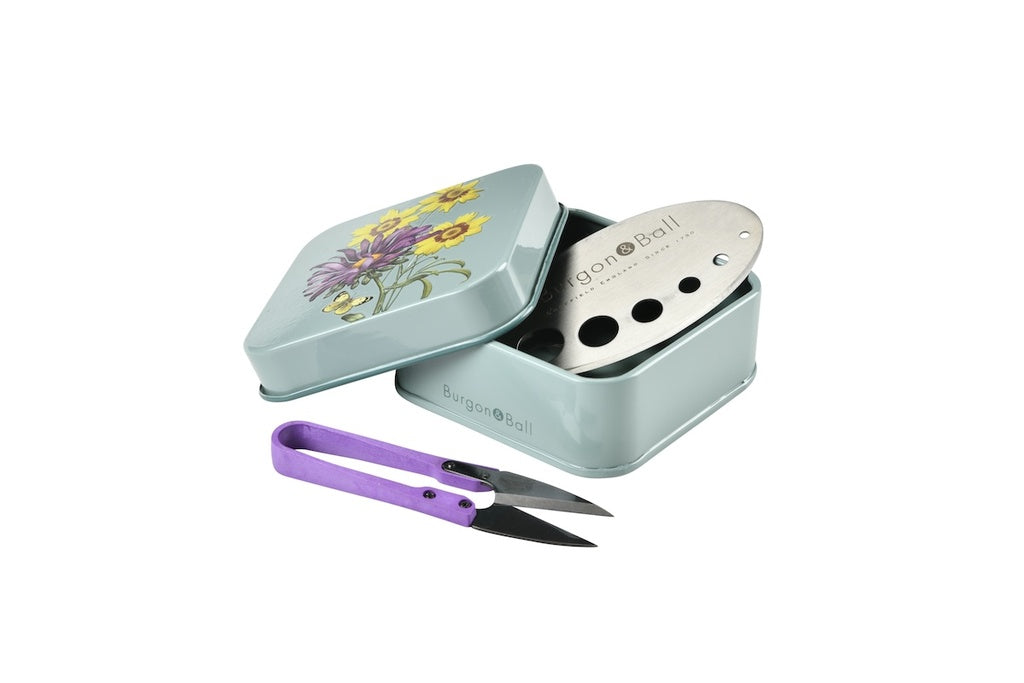 Gift Boxed - Asteraceae Herb Set