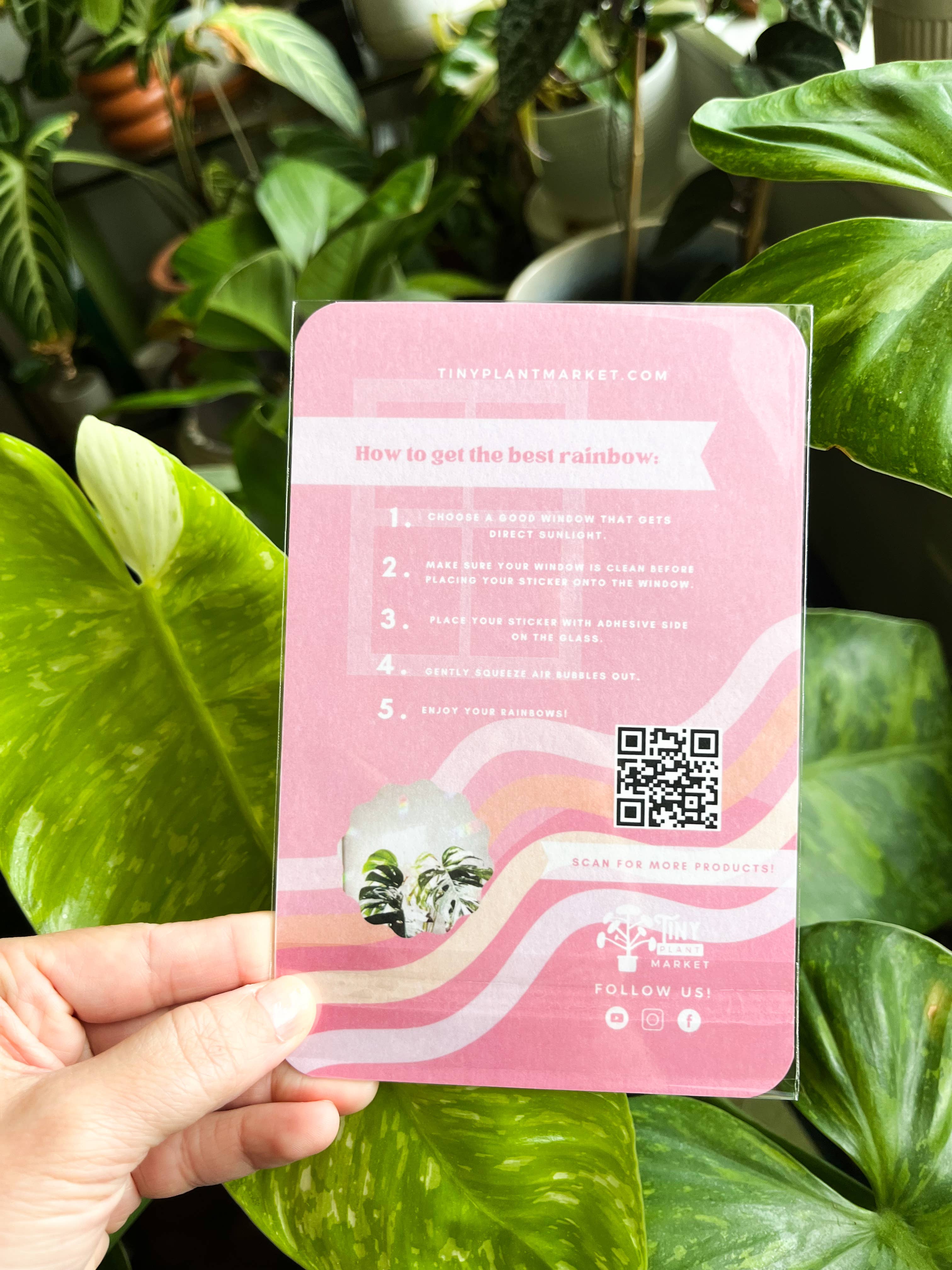 Sticker - Potted Plants Sun Catcher