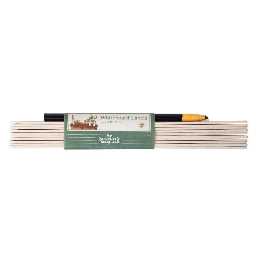 Whiteboard Labels & Pencil