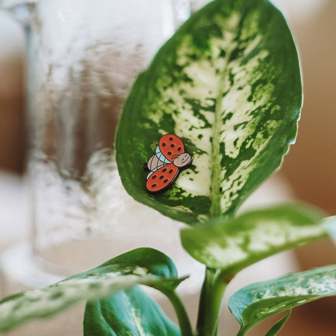 Plant Magnet - Bugs 3-Pack