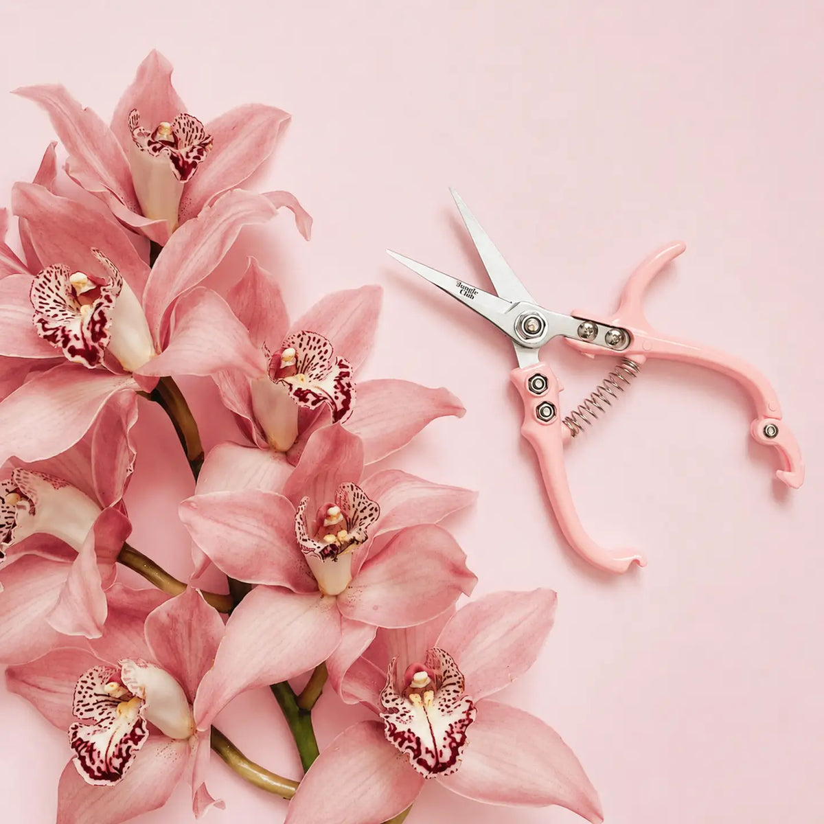Plant Snips