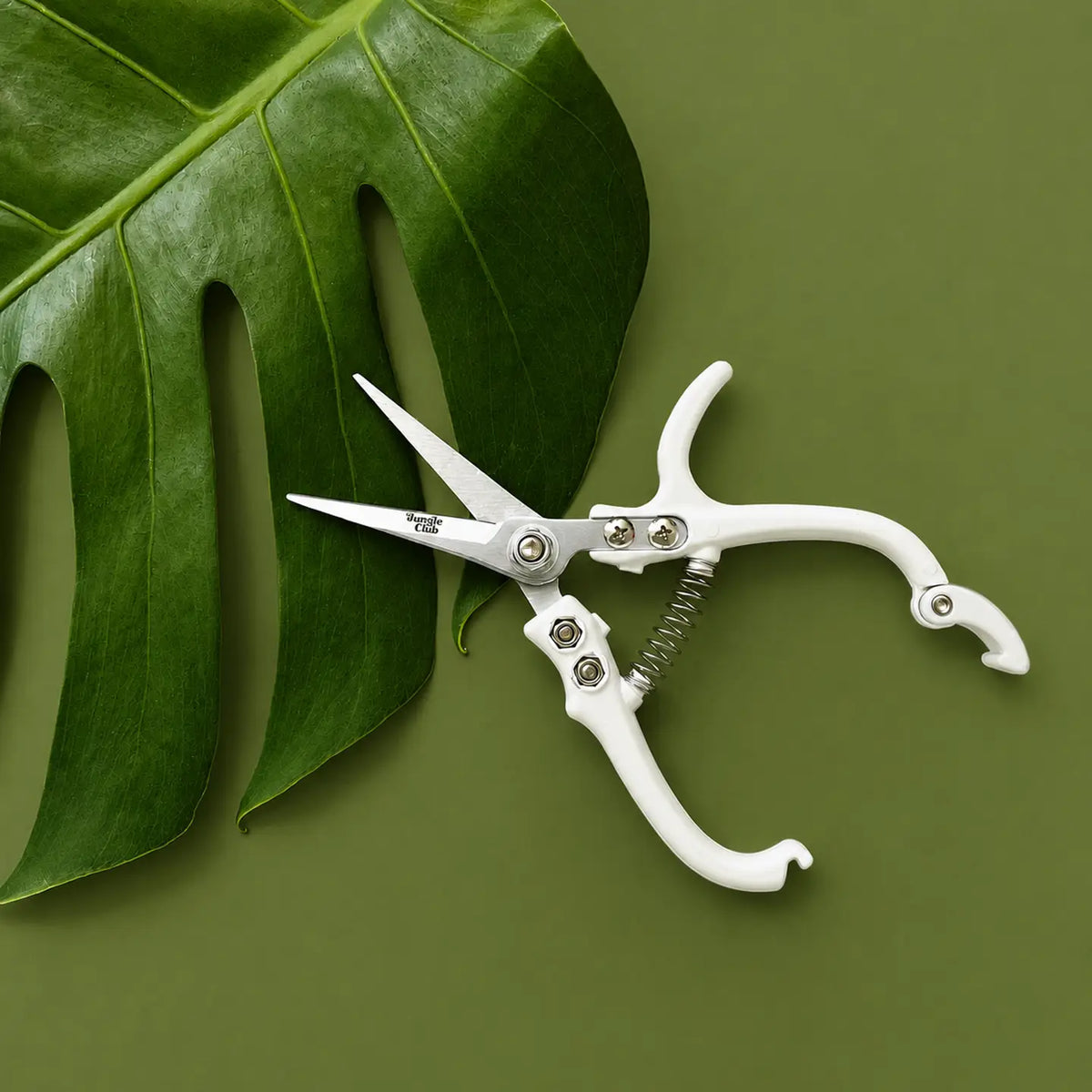 Plant Snips