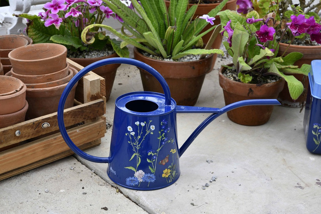 Watering Cans - Floral Indoor 1L Galvanised