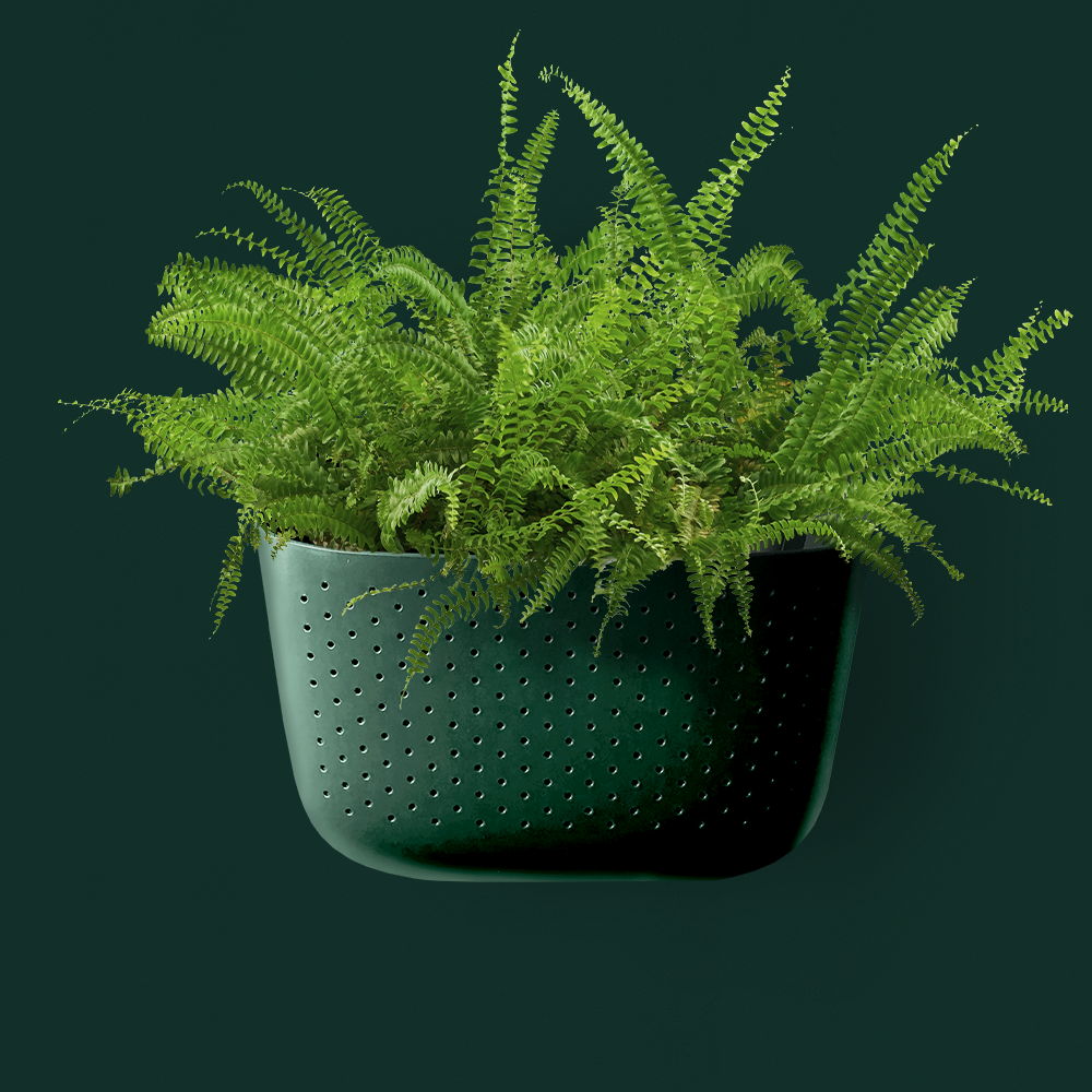 WallyGro Eco Wall Planter