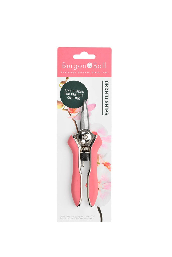 Secateurs - Orchid Snips
