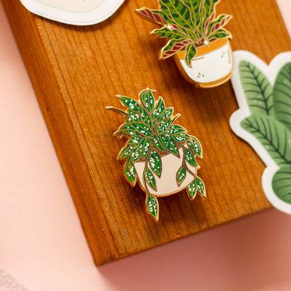 Enamel Pin: Hoya Splash