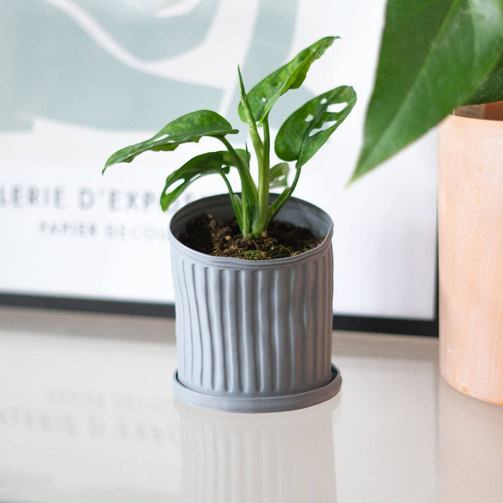 Plant Pot - Trashcan