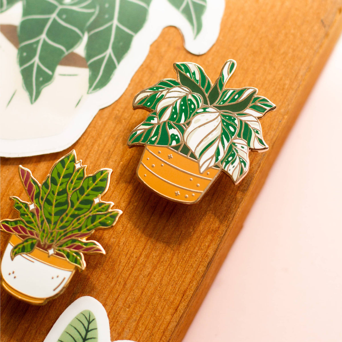 Enamel Pin: Rattlesnake Plant