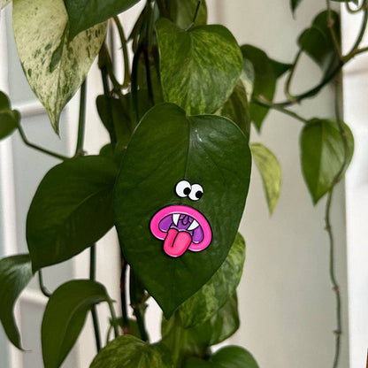 Plant Magnet - Drac Mouth