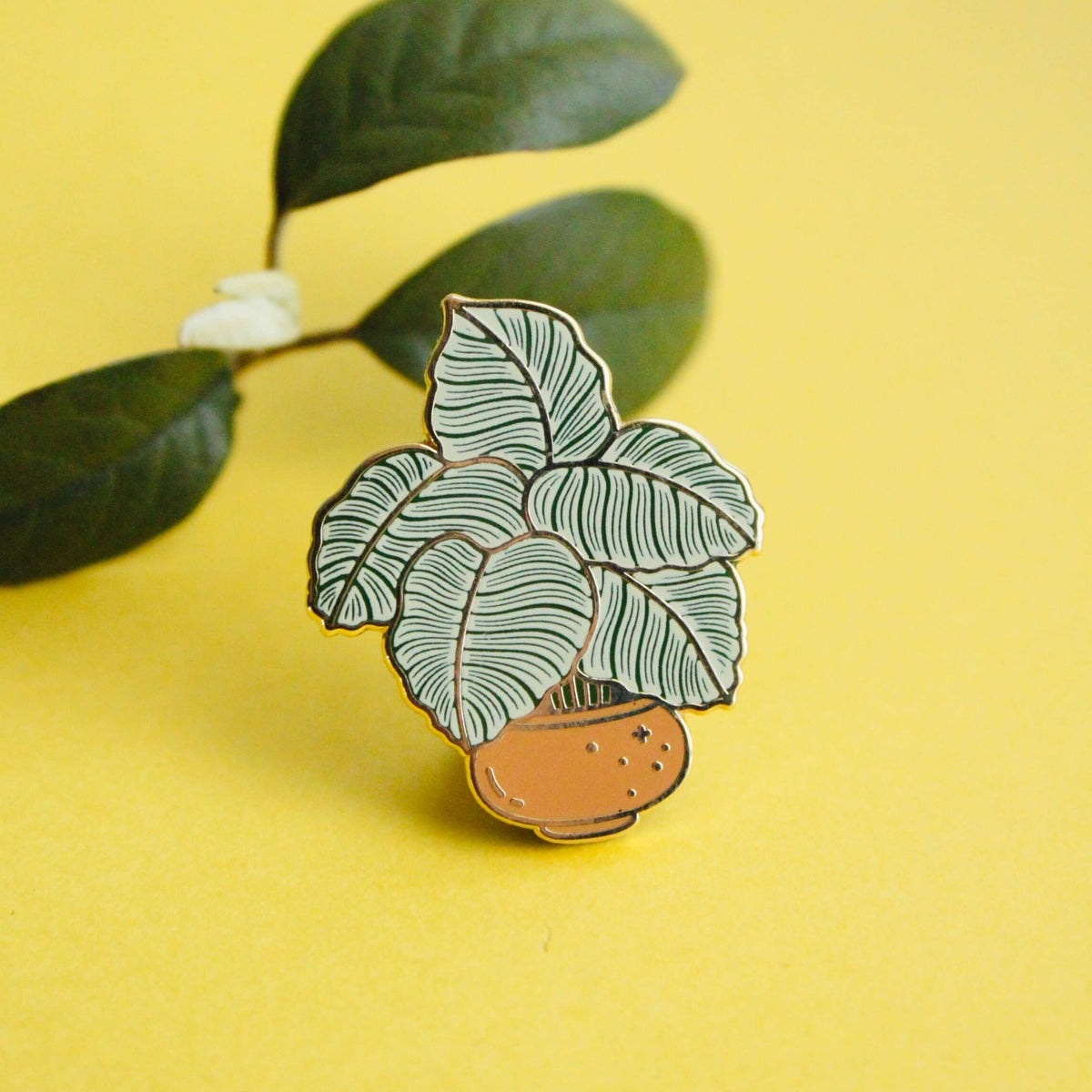 Enamel Pin: Calathea Orbifolia