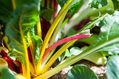 Swiss chard &