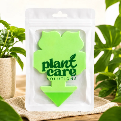 Plant Care Solutions Flower Gnat Traps