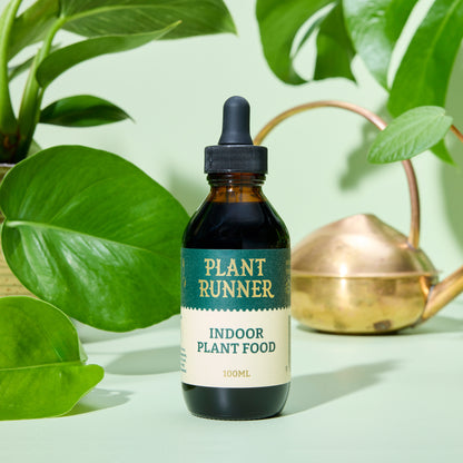 Plant Runner Indoor Plant Food
