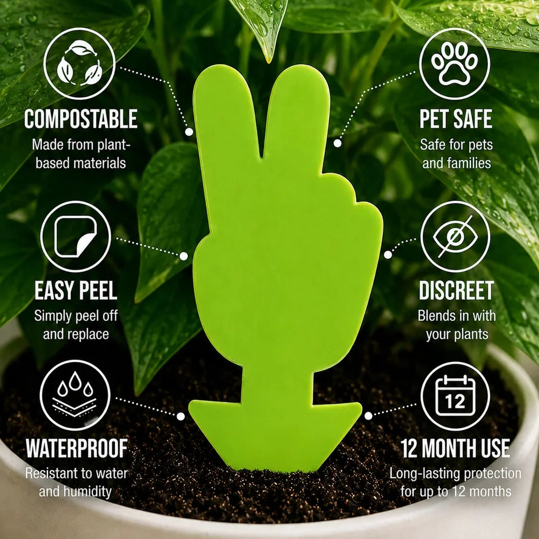 Plant Care Solutions Peace Sign Gnat Traps