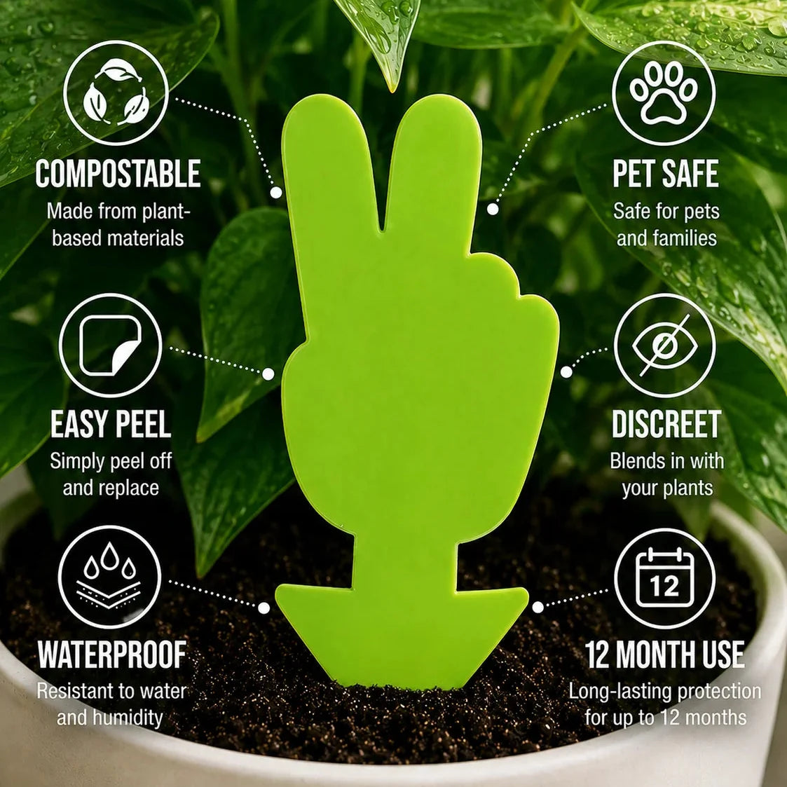 Plant Care Solutions Peace Sign Gnat Traps