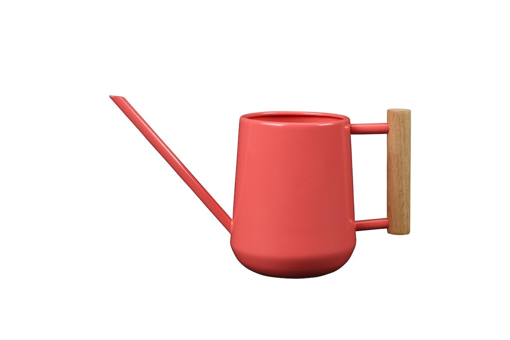 Watering Can - 700mml Indoor