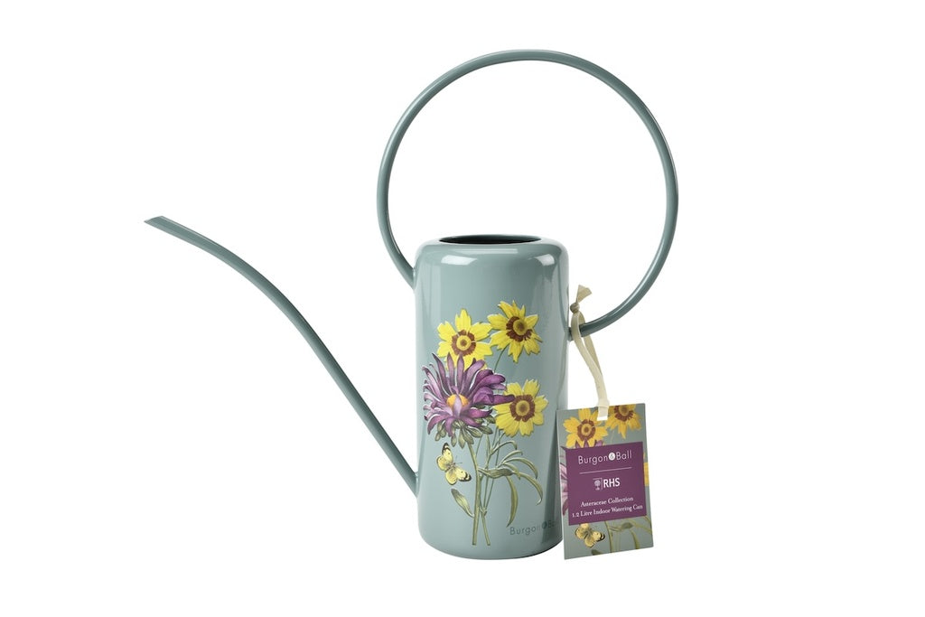 Watering Can - Asteraceae 1.2L Galvanised Indoor