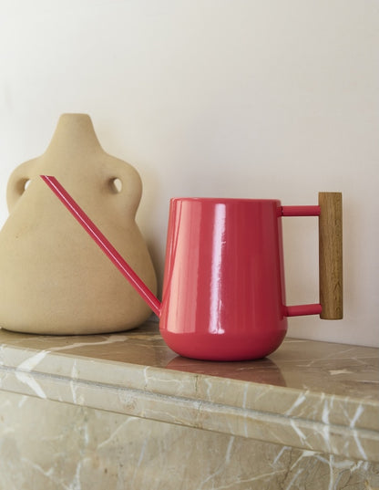 Watering Can - 700mml Indoor