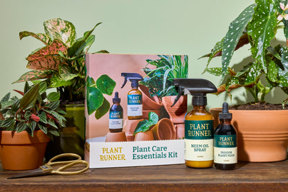 Plant Care Essentials Kit