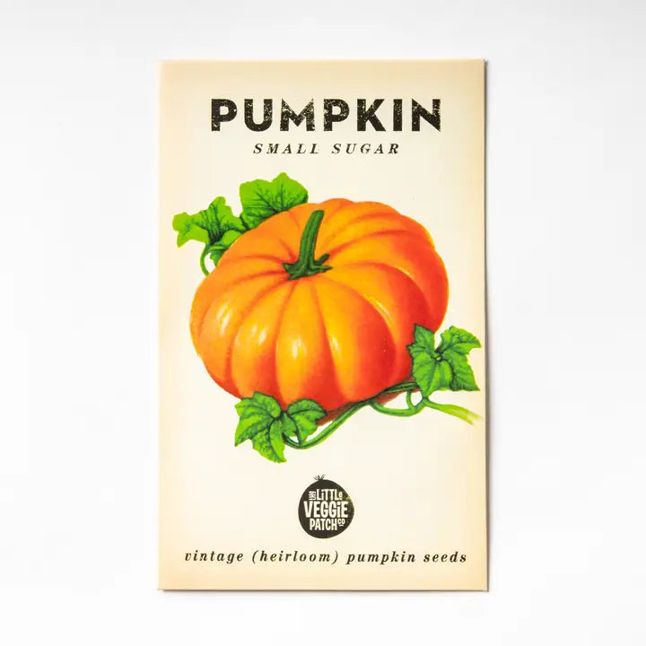Pumpkin &