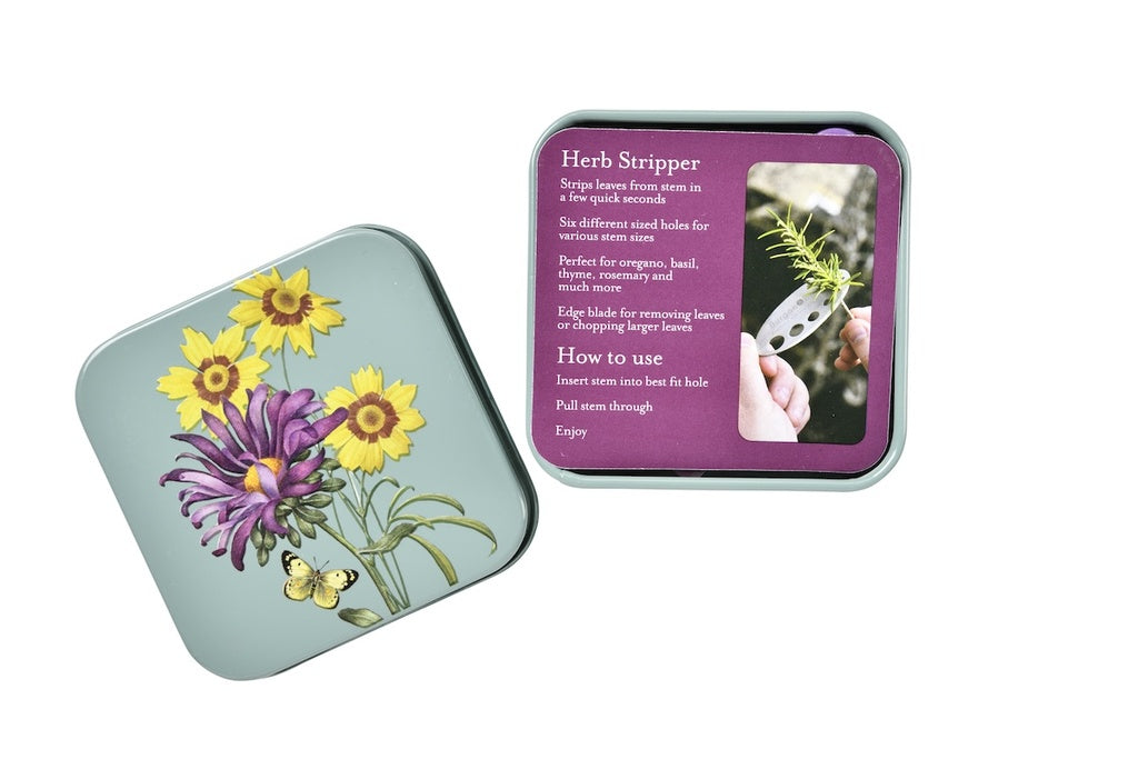 Gift Boxed - Asteraceae Herb Set