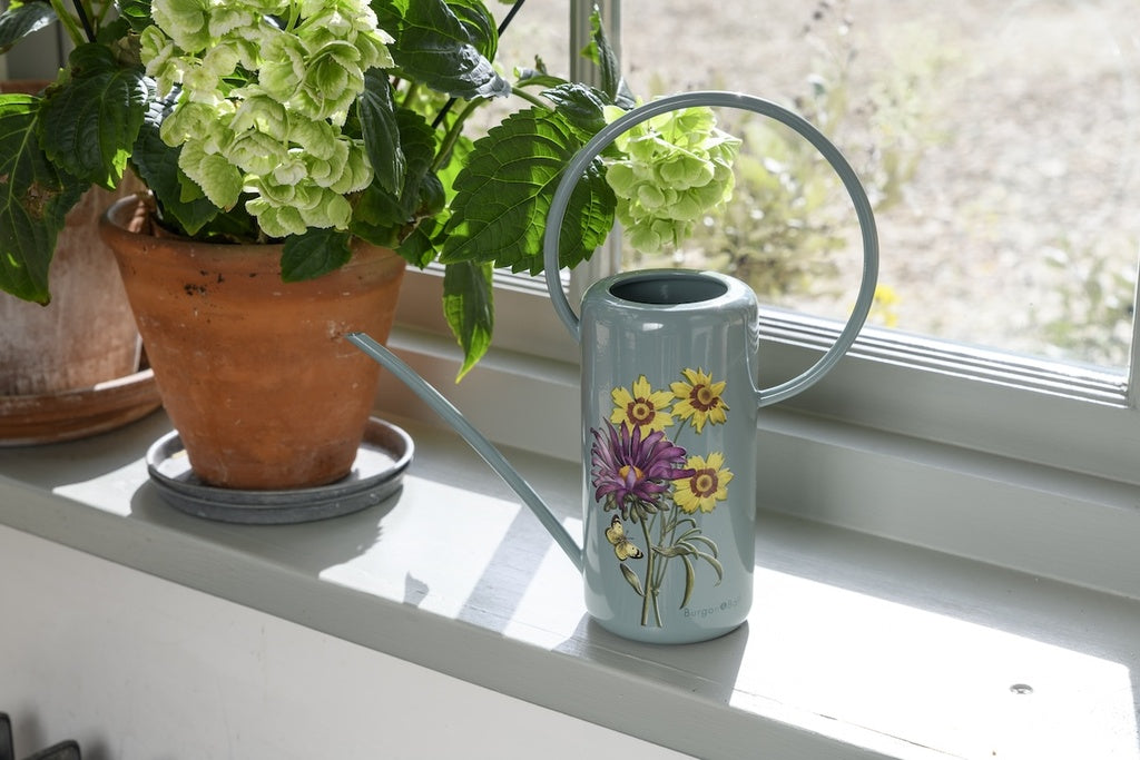 Watering Can - Asteraceae 1.2L Galvanised Indoor