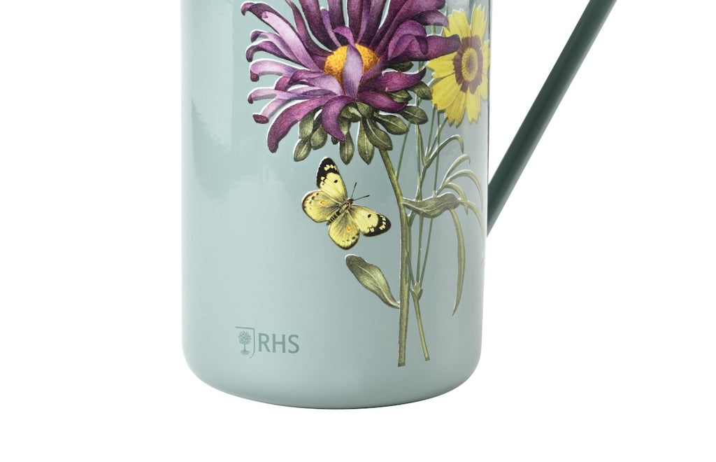 Watering Can - Asteraceae 1.2L Galvanised Indoor
