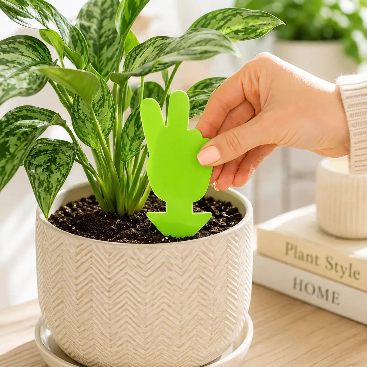 Plant Care Solutions Peace Sign Gnat Traps