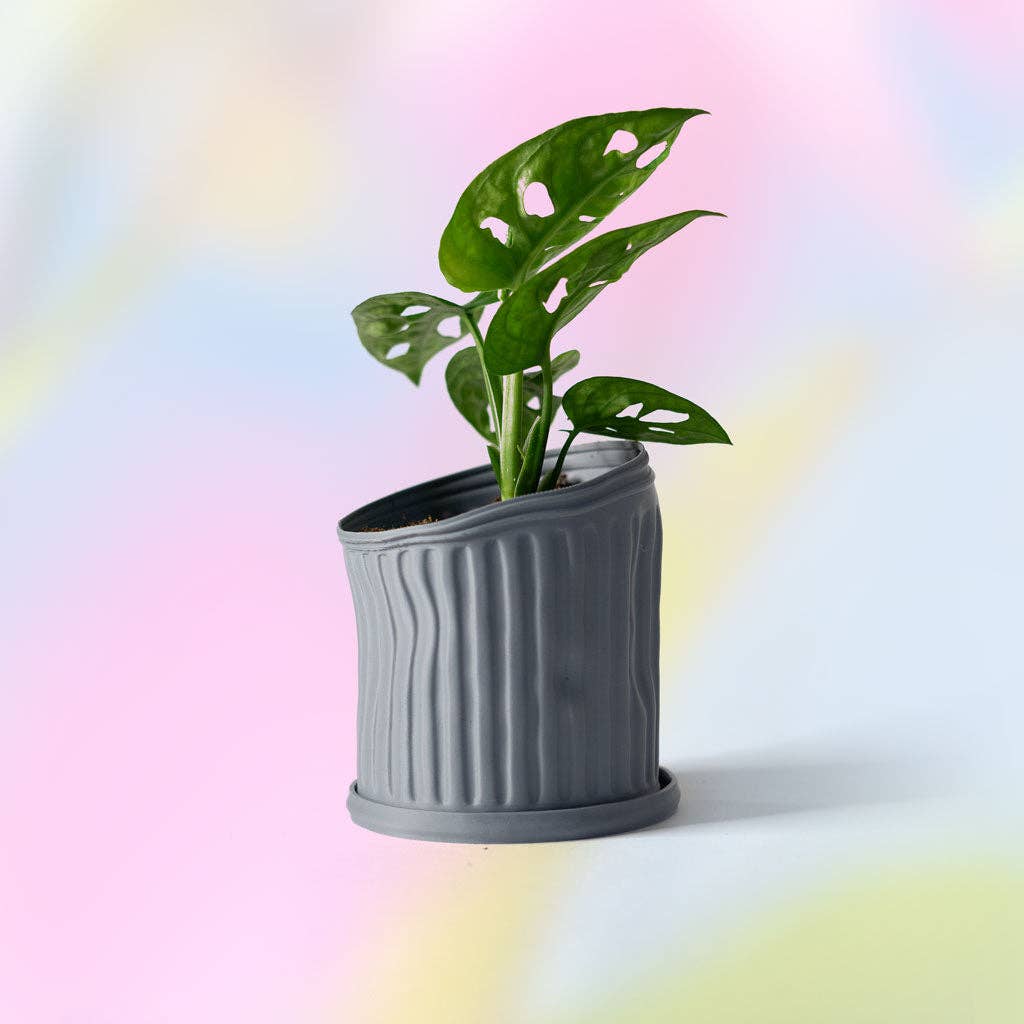 Plant Pot - Trashcan