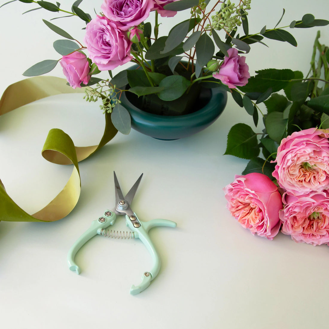 Plant Snips