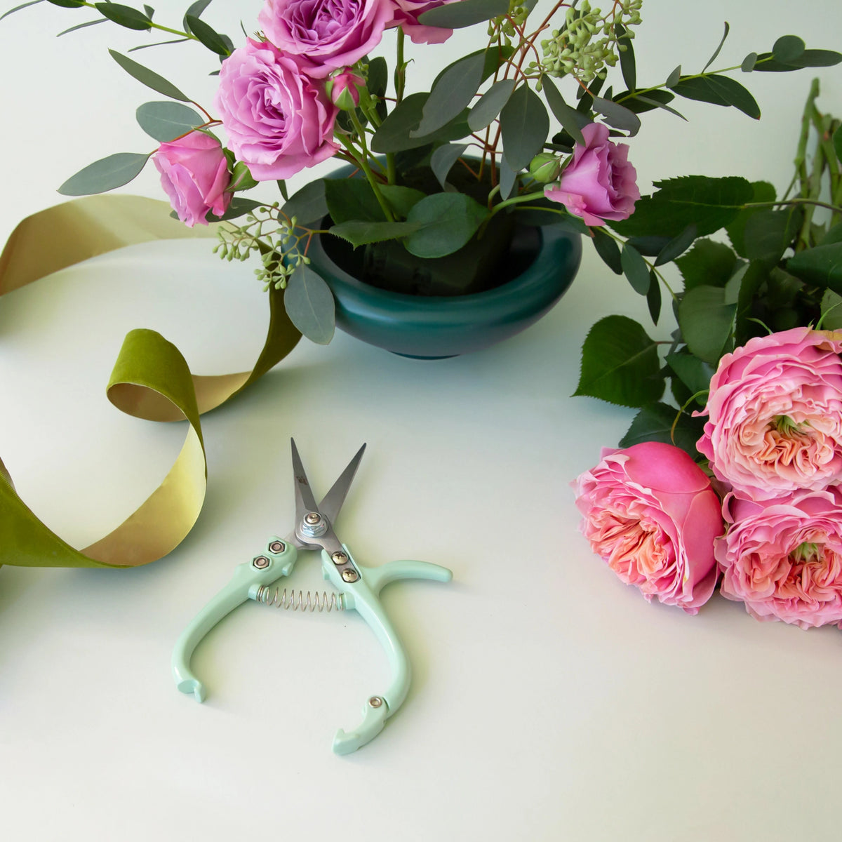 Plant Snips