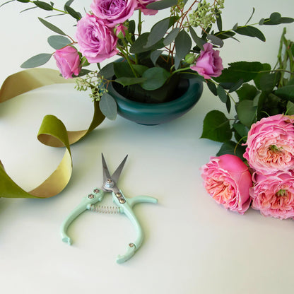 Plant Snips