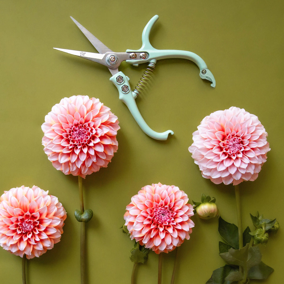 Plant Snips