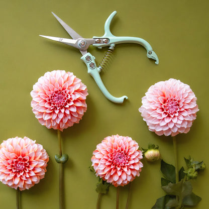 Plant Snips