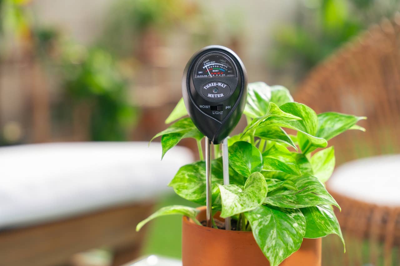 3-in-1 Soil Meter; Moisture, pH and Light