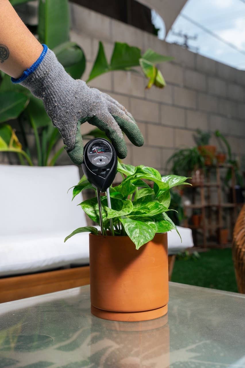 3-in-1 Soil Meter; Moisture, pH and Light