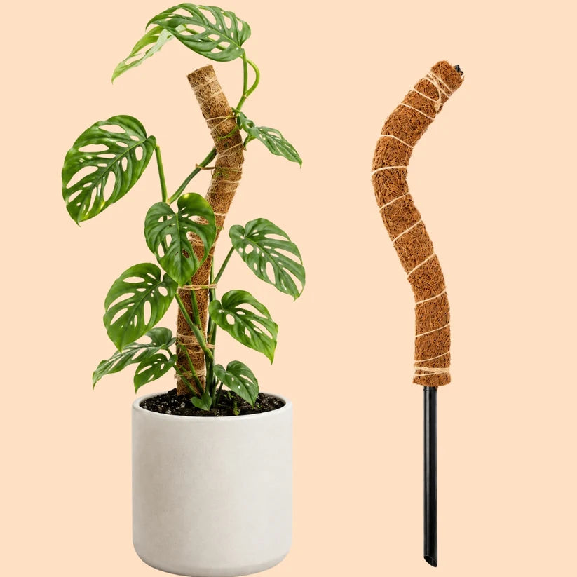 We The Wild Coco Climber Stackable &amp; Bendable Grow Pole