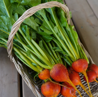Beetroot &