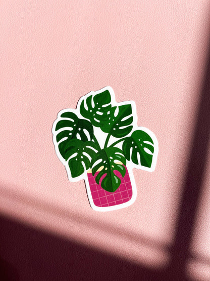 Monstera Deliciosa Plant Sticker