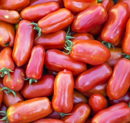 Tomato &