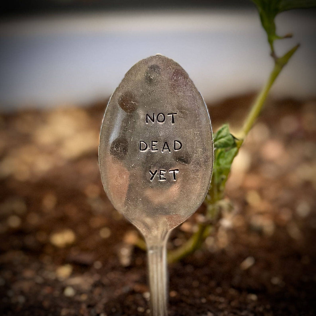 Garden Marker: Not Dead Yet