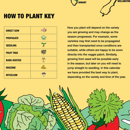 Subtropical Climate Planting Calendar