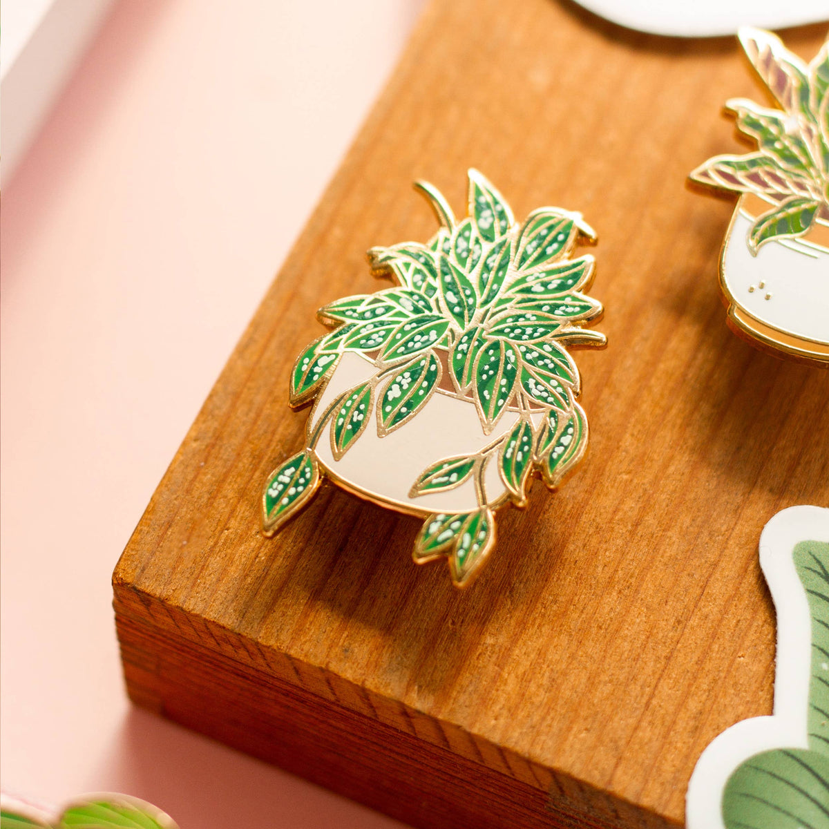 Enamel Pin: Hoya Splash
