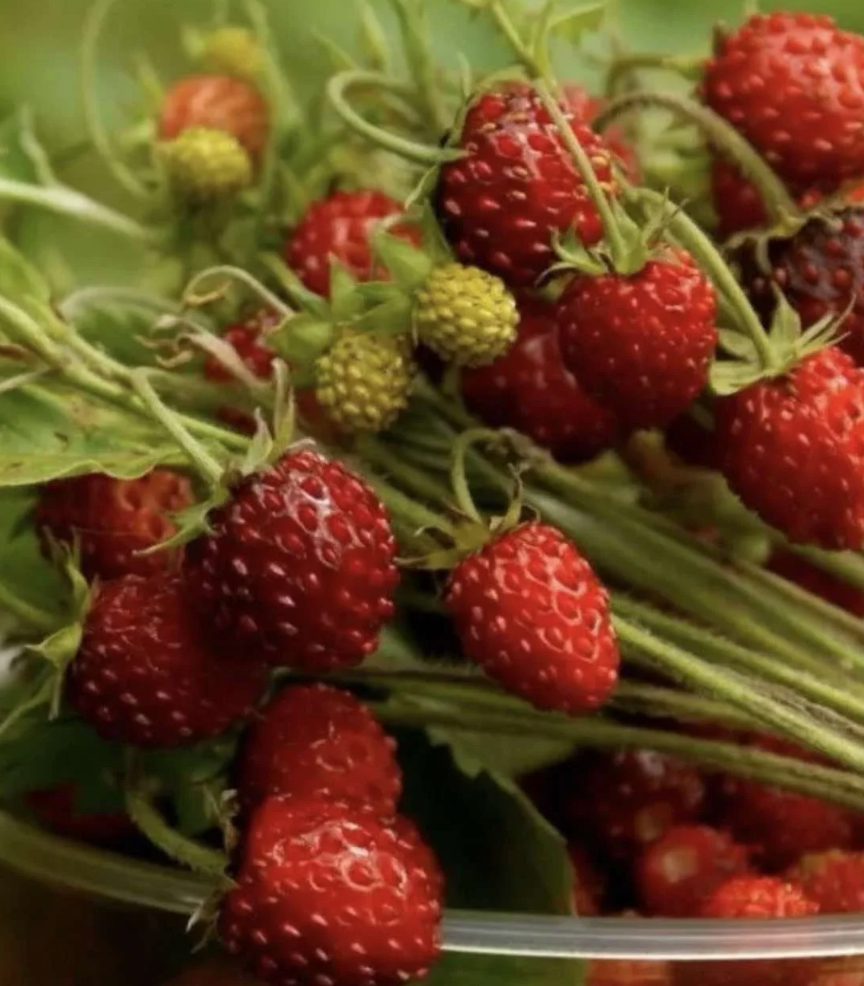 Strawberry &
