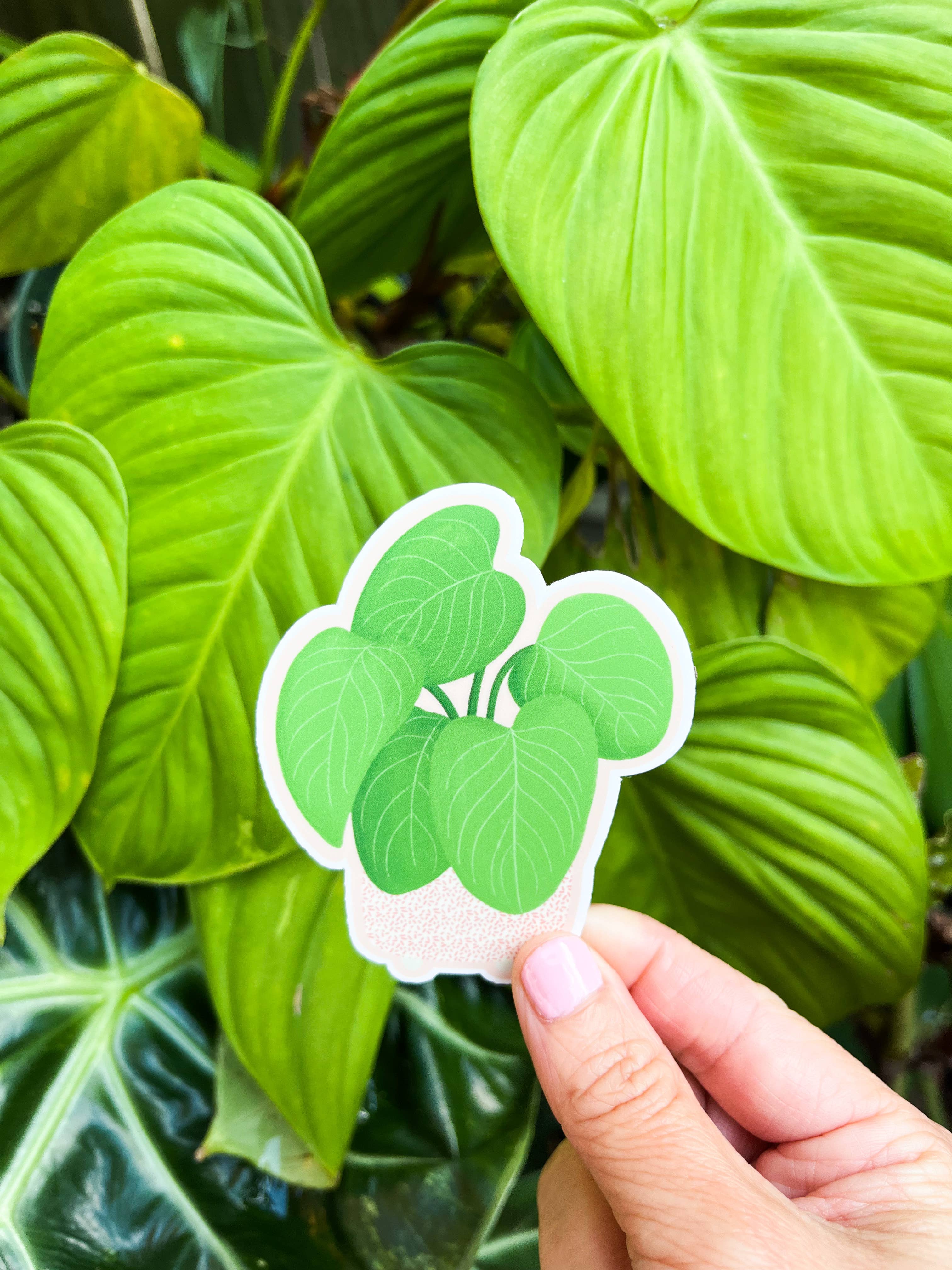 Philodendron Fuzzy Petiole Plant Sticker